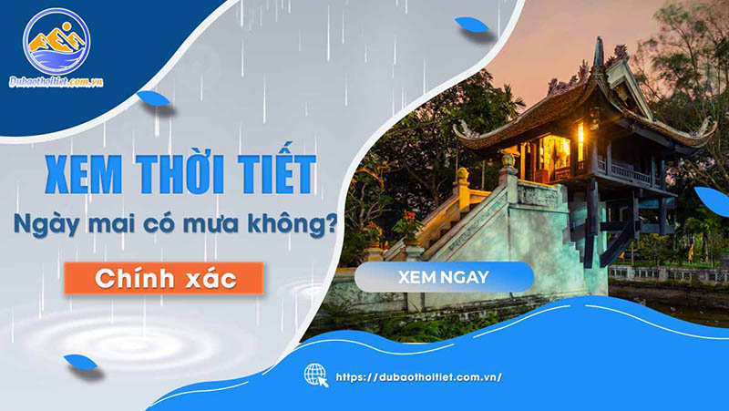 Ngày mai có mưa không? Xem thời tiết ở đâu uy tín và chính xác