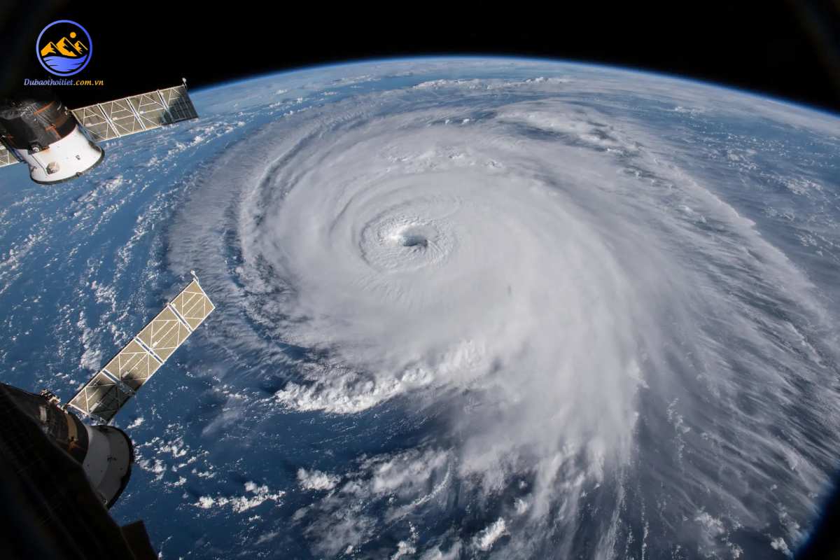 Bão nhiệt đới là gì? Nguyên nhân hình thành và ảnh hưởng