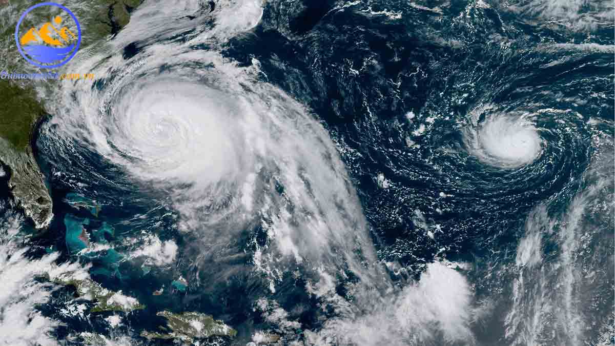 Áp thấp nhiệt đới là gì? Phân biệt áp thấp và bão nhiệt đới