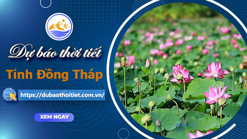 Thời tiết Đồng Tháp hôm nay, ngày mai và những ngày tới