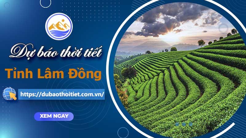 Thời tiết Lâm Đồng hôm nay, ngày mai và những ngày tới