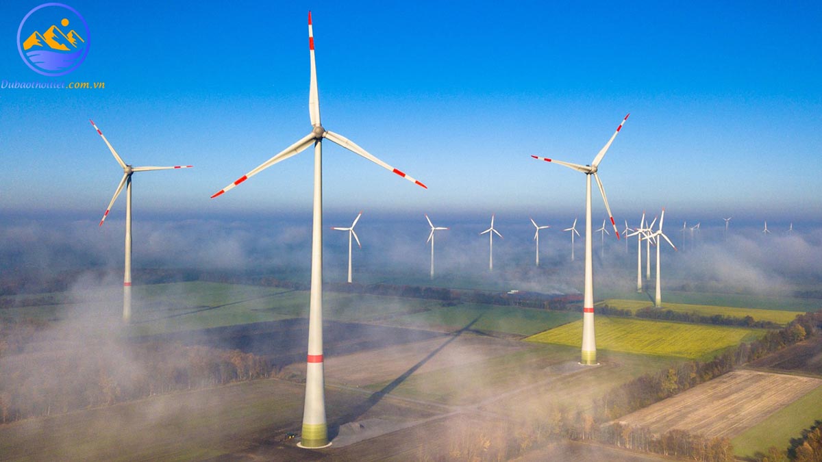 Khái niệm gió là gì? Gió hình thành từ đâu? Phân loại gió