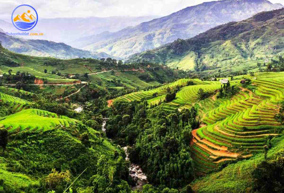 Khí hậu Tây Nguyên mùa mưa cây cối xanh tốt