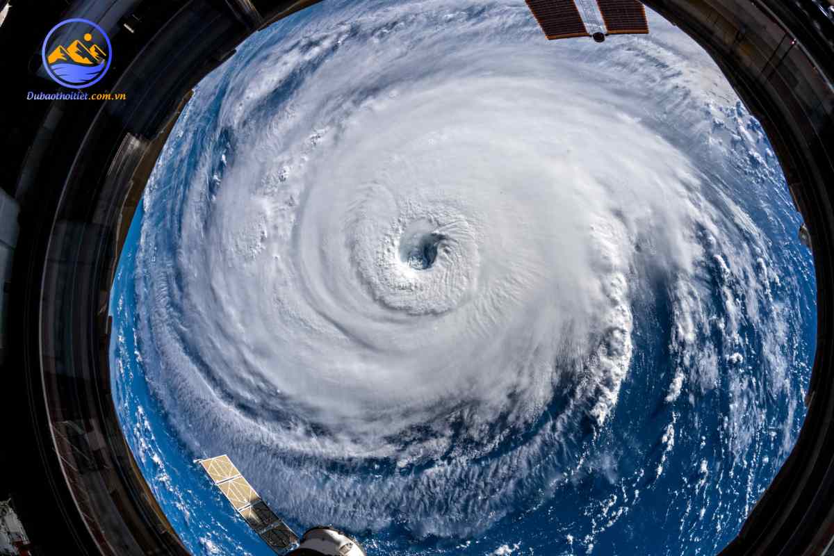 Mắt bão là gì