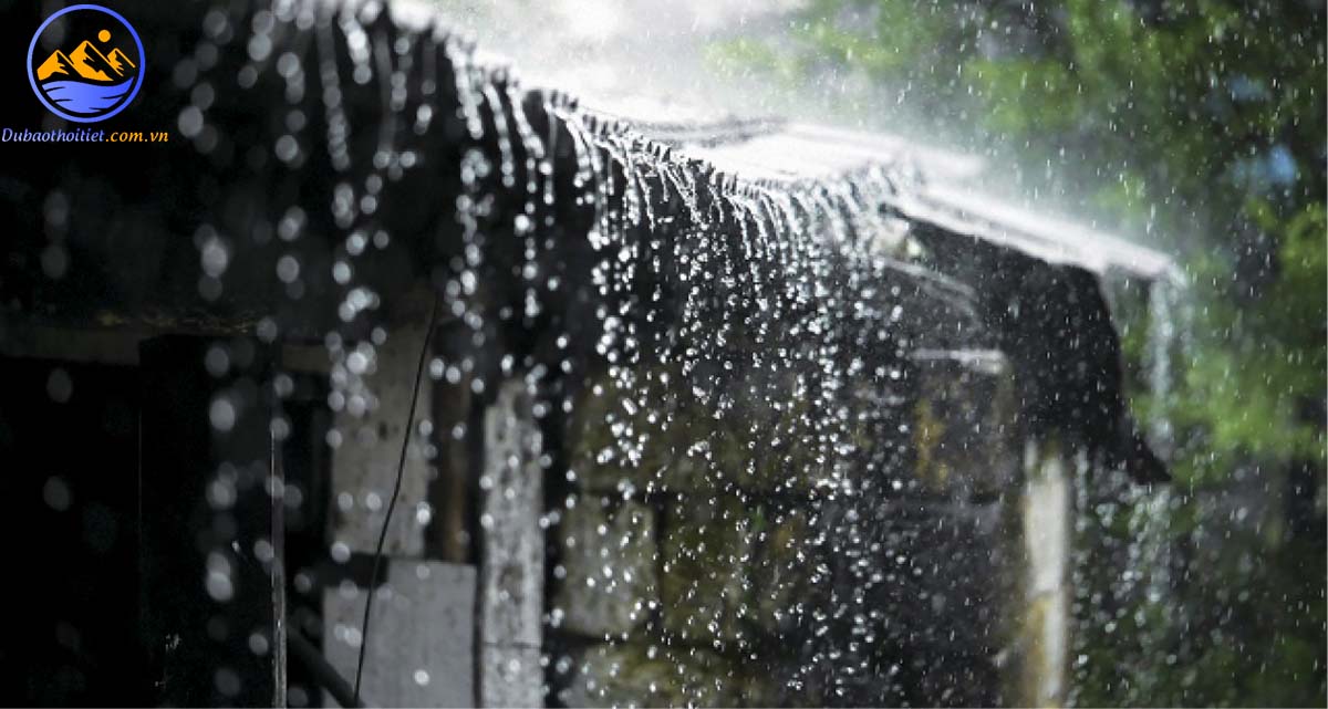 Mưa rào là gì? Nguyên do gây mưa rào và thời điểm xuất hiện