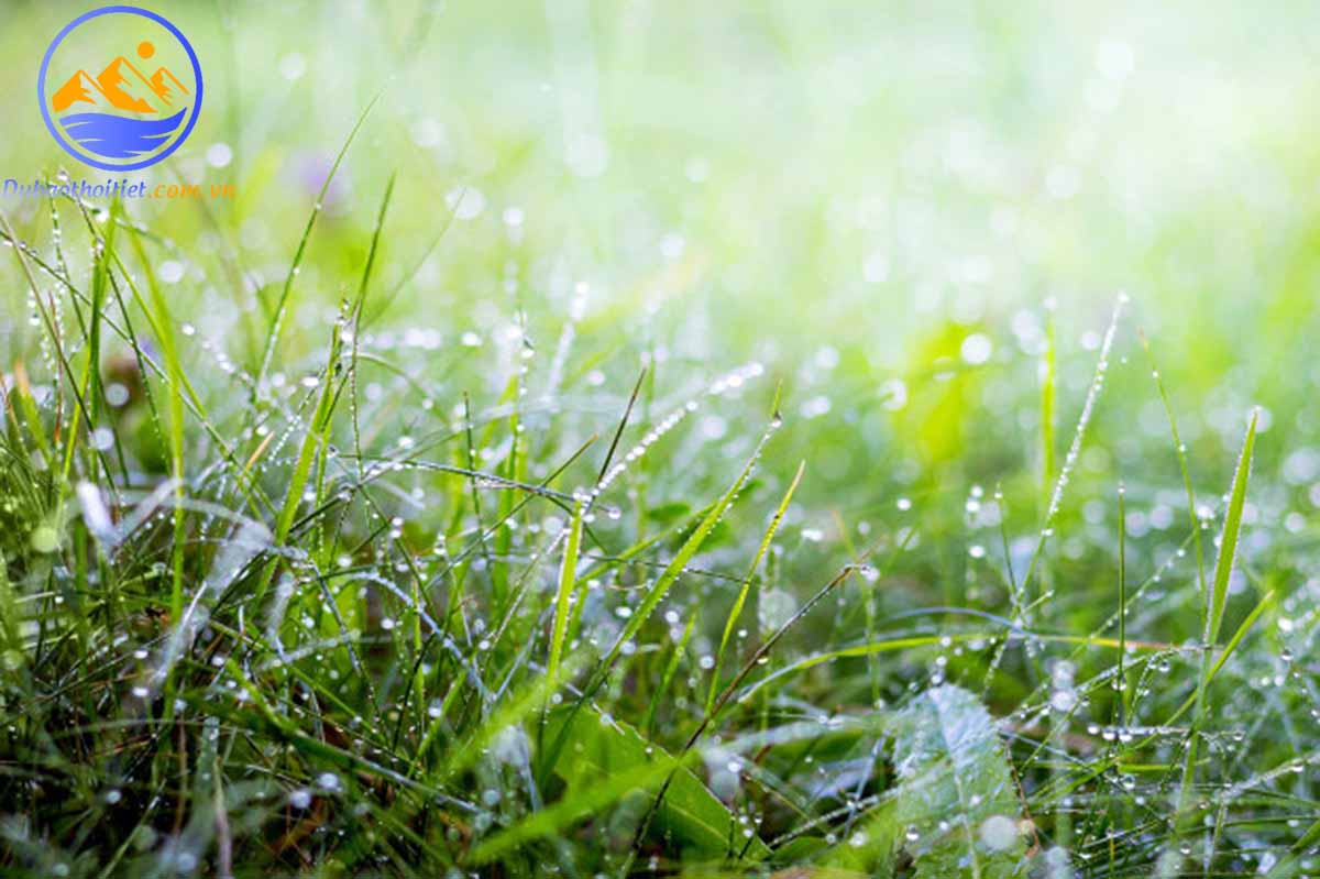 Những cơn mưa này thường xuất hiện vào buổi sáng sớm hoặc chiều tối