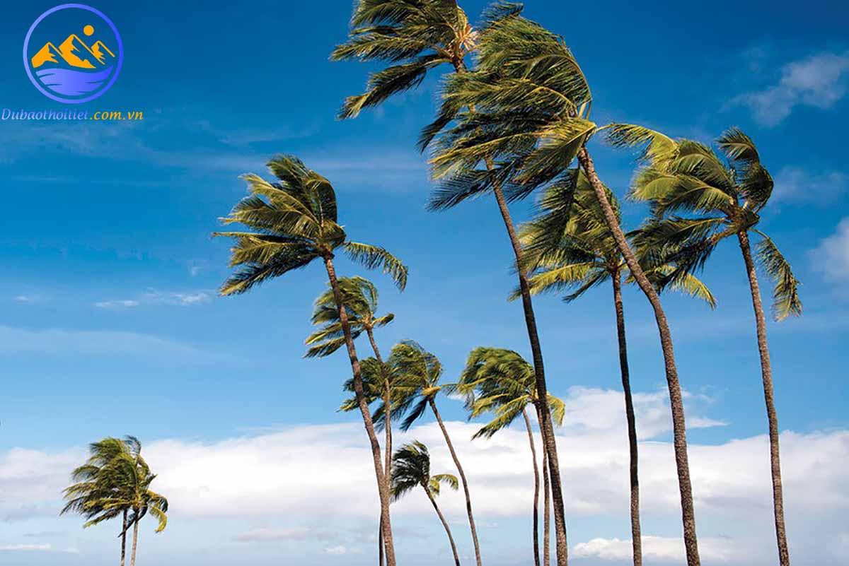 Nguyên nhân sinh ra gió