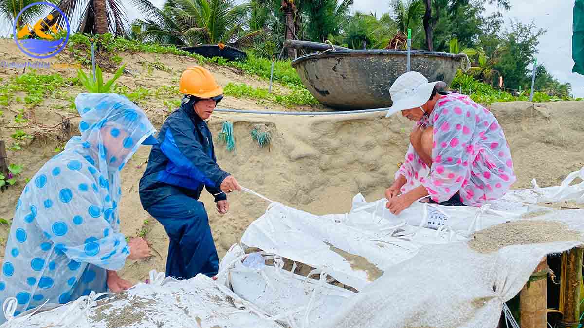 Cách phòng tránh áp thấp nhiệt đới là gì?