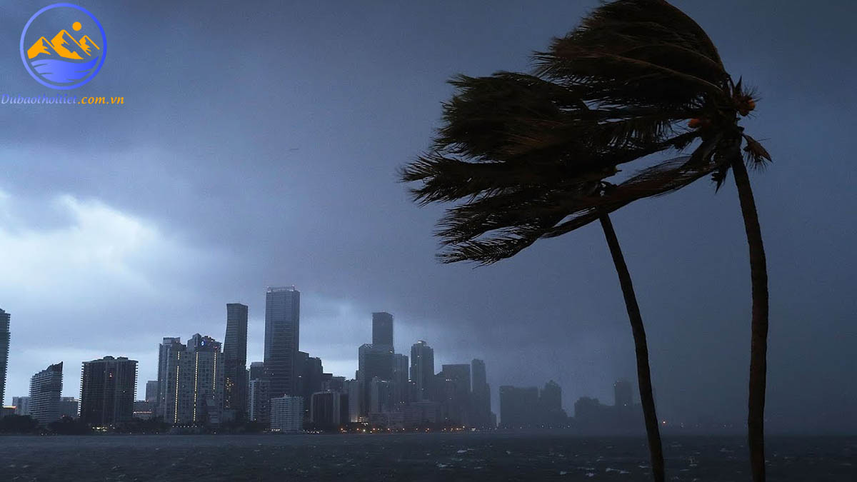 Tác hại của gió là gì?