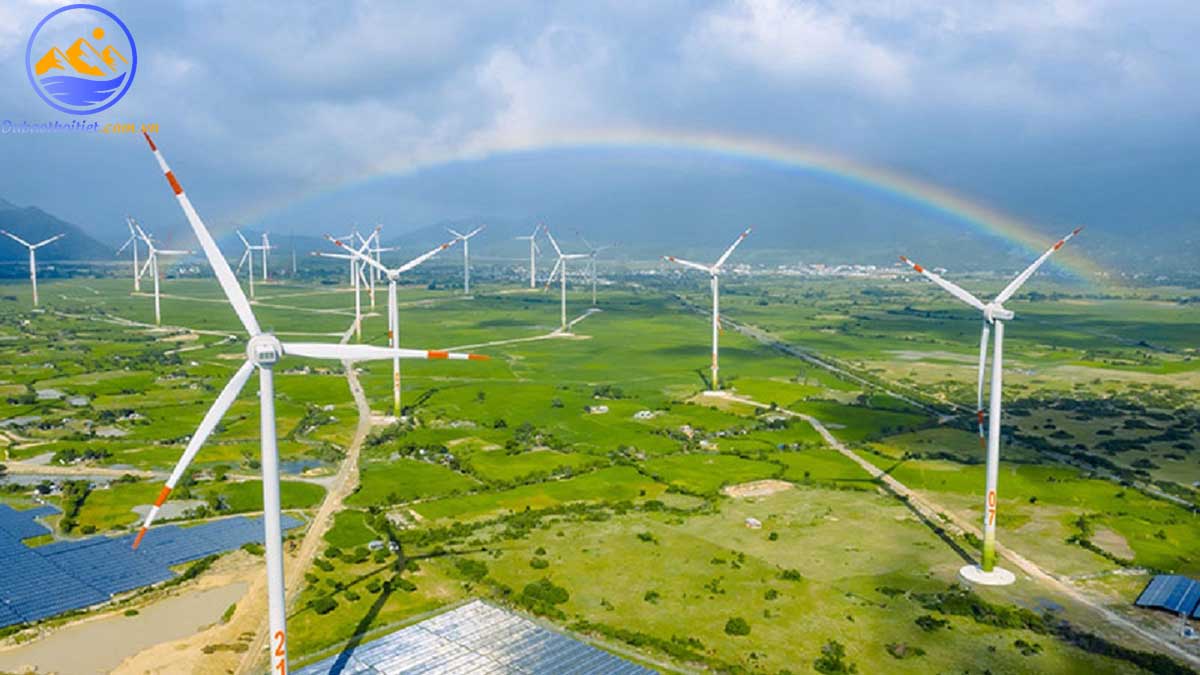 Gió Tây ôn đới là gì? Đặc điểm và các vai trò của gió ôn đới