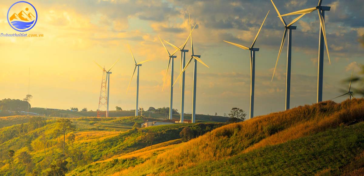 Vai trò của gió là gì?