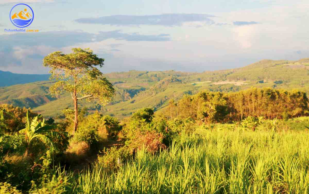 Đặc điểm khí hậu Phú Yên thuộc kiểu Khí hậu nhiệt đới gió mùa, có đặc điểm 2 mùa rõ rệt