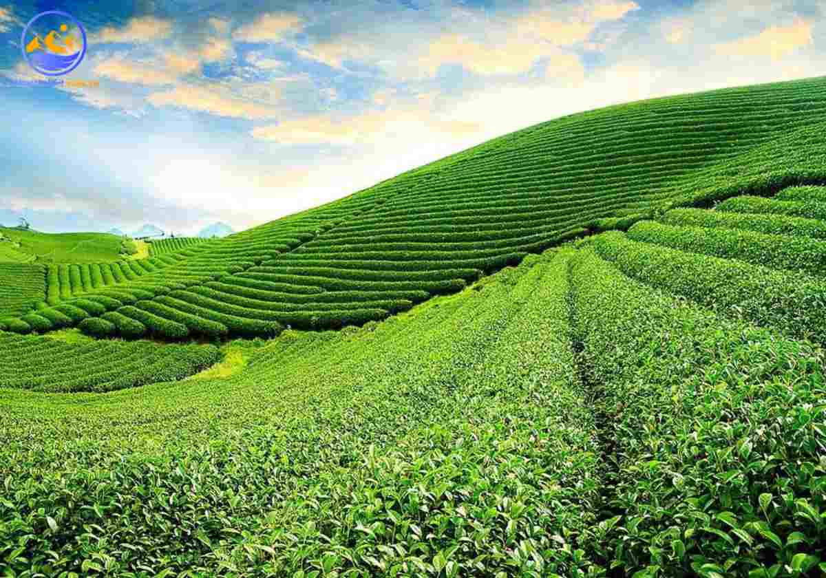 Điều kiện tự nhiên Bảo Lộc