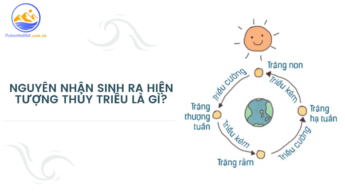 Nguyên nhân sinh ra hiện tượng thuỷ triều là gì?