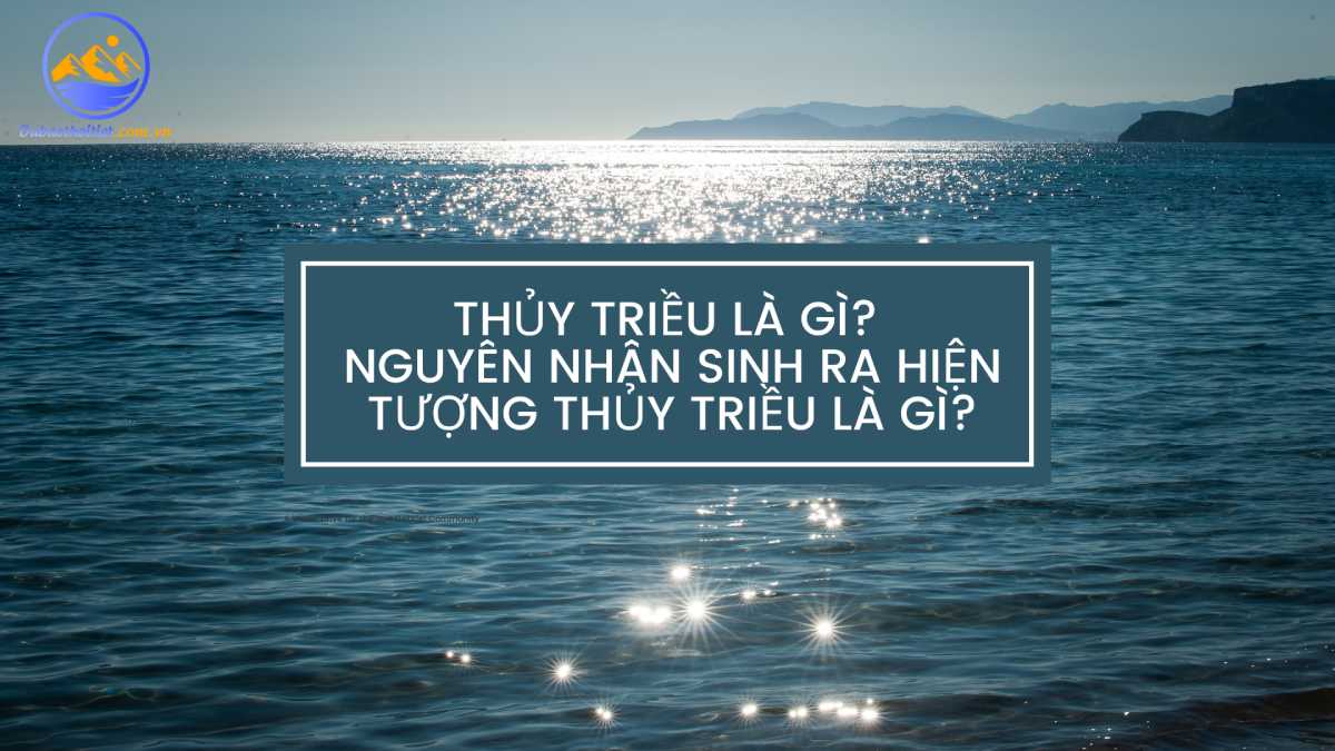 Thủy triều là gì? Nguyên nhân sinh ra hiện tượng thủy triều là như thế nào?