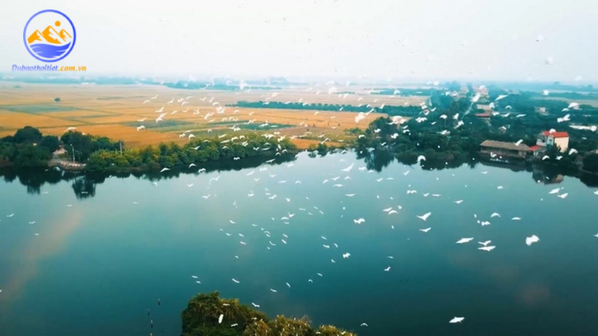 Khí hậu Hải Dương vào mùa hè có khí hậu ấm áp và nhiều nắng 