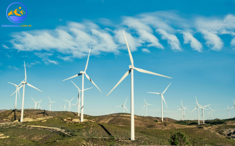 Gió địa phương là gì? Có bao nhiêu loại gió địa phương?